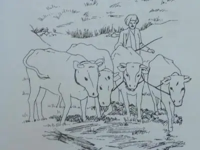 Berger travaillant avec boeufs.jpg